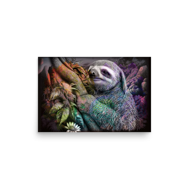 Poster — Sloth in the Forest