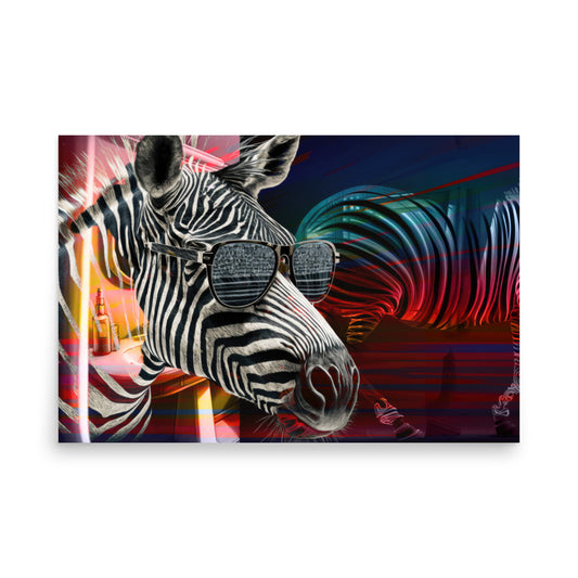 Poster — Zebra Checking out a Fellow Ass